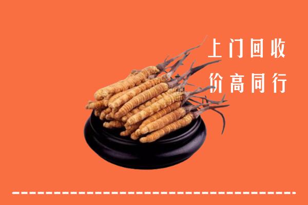 高价求购：江北区回收散虫草