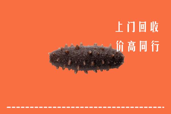 高价求购：江北区回收海参