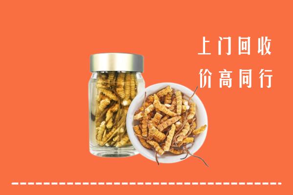 江北区回收冬虫夏草